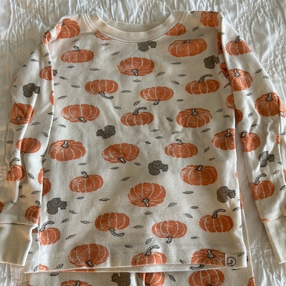 Carter’s Organic Pumpkin Pajamas in 2T - Picture 2 of 5